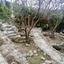 3 bedroom detached house for sale kamares tala paphos 7544185 thumbnail 14840569
