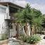 3 bedroom detached house for sale kamares tala paphos 7544185 thumbnail 14840576