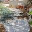 3 bedroom detached house for sale kamares tala paphos 7544185 thumbnail 14840586