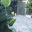 5 bedroom detached house for sale makedonitissa nicosia 1153185 thumbnail 5168616
