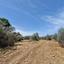 land for sale kornos larnaca 8562185 thumbnail 15594553
