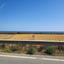plot for sale maroni larnaca 1804185 thumbnail 16220671