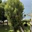 2 bedroom apartment for rent potamos germasogeias limassol 8525285 thumbnail 15542883