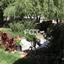 plot for sale zakaki limassol 1147285 thumbnail 6304177
