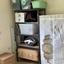 2 bedroom apartment for sale paralimni famagusta 1281385 thumbnail 5288886