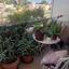 3 bedroom apartment for sale aradippou larnaca 8738385 thumbnail 16361528