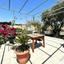 8 bedroom detached house for sale kalavasos larnaca 7905385 thumbnail 15071785