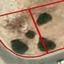 land for sale agios athanasios limassol 7738385 thumbnail 10201715