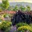 land for sale nikokleia paphos 8022385 thumbnail 16016006