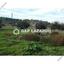 plot for sale mazotos larnaca 1689385 thumbnail 6021015
