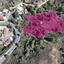 7814 SQM Land for sale in Kakopetria, Nicosia thumbnail 15869031