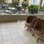 3 bedroom apartment for rent neapolis limassol 8274585 thumbnail 14601038