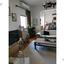 3 bedroom apartment for sale chrysopolitissa larnaca 8636585 thumbnail 15898780