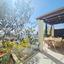 3 bedroom detached house for sale tsada paphos 7600585 thumbnail 9747987