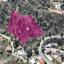 land for sale kakopetria nicosia 8629585 thumbnail 15869030