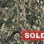 4 bedroom detached house sold kathikas paphos 8627685 thumbnail 15861668