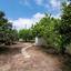 5 bedroom detached house for sale lofos tala paphos 7543685 thumbnail 14765716