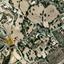 land for sale choirokoitia larnaca 8355685 thumbnail 14466287