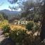 land for sale kyperounta limassol 1147685 thumbnail 5525078