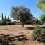 3 bedroom detached house for sale aphrodite hills paphos 8994785 thumbnail 18168717