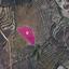 land for sale klirou nicosia 1171785 thumbnail 14890524