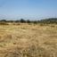 land for sale pachna limassol 8797785 thumbnail 16704419