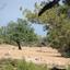 land for sale souni zanakia limassol 7738785 thumbnail 10207110
