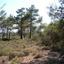 land for sale souni zanakia limassol 7738785 thumbnail 10207111