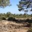 land for sale souni zanakia limassol 7738785 thumbnail 10207112