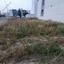plot for sale tsirion limassol 1387785 thumbnail 12639097