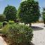 5 bedroom detached house for sale tala paphos 1684885 thumbnail 4406842