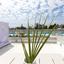 2 bedroom apartment for sale ayia napa famagusta 1268985 thumbnail 13154331