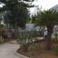3 bedroom detached house for sale coral bay paphos 8472985 thumbnail 15212539
