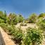 5 bedroom detached house for sale tala paphos 7739985 thumbnail 12581710