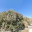 land for sale agios tychonas limassol 8710985 thumbnail 16273308