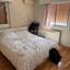1 bedroom apartment for rent acropolis nicosia 1702095 thumbnail 16724504