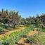 3 bedroom detached house for sale maroni larnaca 8772095 thumbnail 16593890