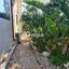 4 bedroom detached house for sale ergates nicosia 1729095 thumbnail 5964789