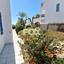 5 bedroom detached house for rent chlorakas paphos 1726095 thumbnail 15413191