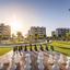 1 bedroom apartment for rent tsiflikoudia limassol 8509195 thumbnail 16332112