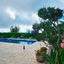 3 bedroom detached house for rent kato akourdalia paphos 8723195 thumbnail 16391725