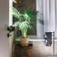 7 bedroom town house for sale parissinos nicosia 1652195 thumbnail 10739567
