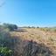 land for sale kathikas paphos 7502195 thumbnail 9350365