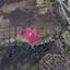 3345 SQM Land for sale in Agrokipia, Nicosia thumbnail 14892080