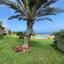 5 Bedroom Detached house for sale in Neo Chorio, Paphos thumbnail 16776878