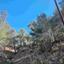 land for sale moniatis limassol 1334295 thumbnail 2466109