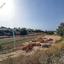 land for sale peyia paphos 859295 thumbnail 726072