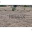 plot for sale anafotida larnaca 8926295 thumbnail 17613703