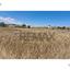 plot for sale anafotida larnaca 8926295 thumbnail 17613706