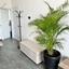 2 bedroom penthouse for sale livadia larnacas larnaca 7738395 thumbnail 10201820